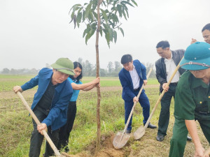 TẾT TRỒNG CÂY ĐỜI ĐỜI NHỚ ƠN BÁC HỒ